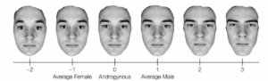 male facial characteristics