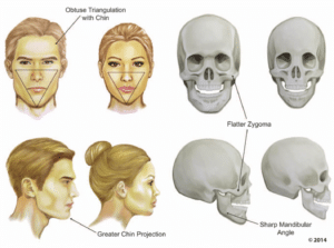 differences between male and female faces